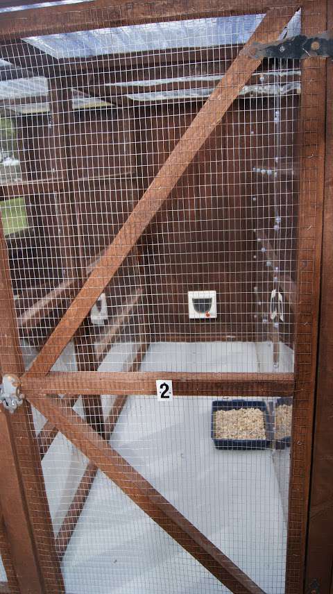 Rushden Boarding Kennels and Cattery (Dog and Cat Boarding) photo